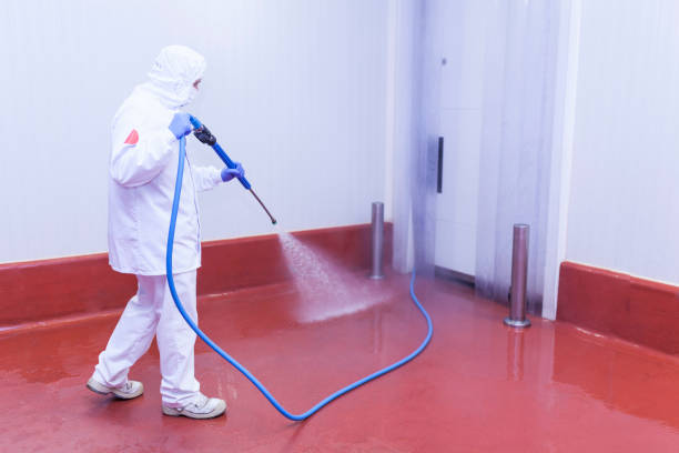 Best Driveway Pressure Washing  in Steele, MO