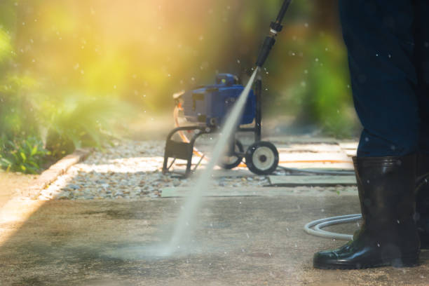 Best House Exterior Washing  in Steele, MO